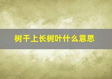 树干上长树叶什么意思