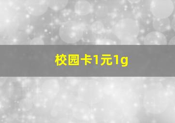 校园卡1元1g