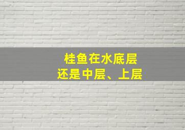 桂鱼在水底层还是中层、上层