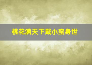 桃花满天下戴小蛮身世