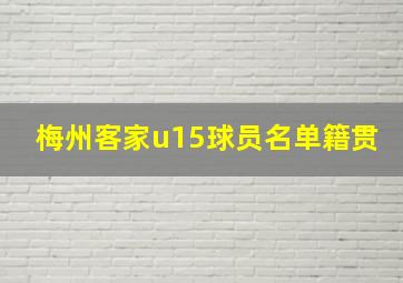 梅州客家u15球员名单籍贯