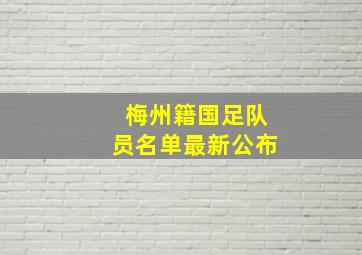 梅州籍国足队员名单最新公布