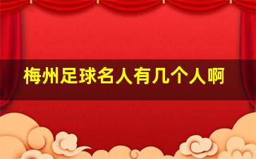 梅州足球名人有几个人啊