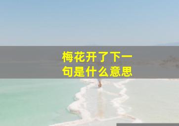 梅花开了下一句是什么意思