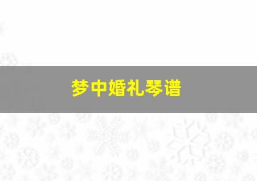 梦中婚礼琴谱