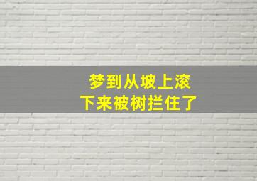 梦到从坡上滚下来被树拦住了