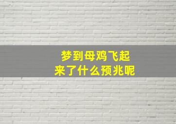 梦到母鸡飞起来了什么预兆呢