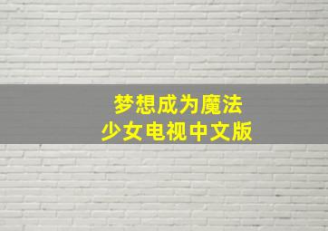 梦想成为魔法少女电视中文版