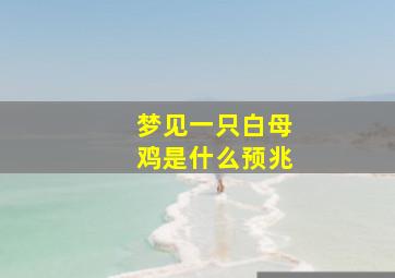 梦见一只白母鸡是什么预兆