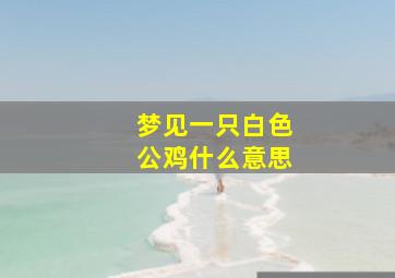 梦见一只白色公鸡什么意思