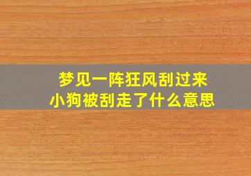 梦见一阵狂风刮过来小狗被刮走了什么意思