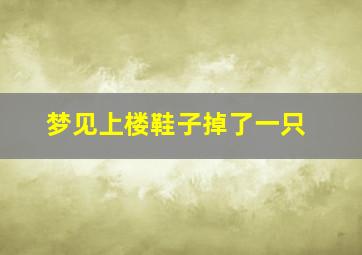 梦见上楼鞋子掉了一只