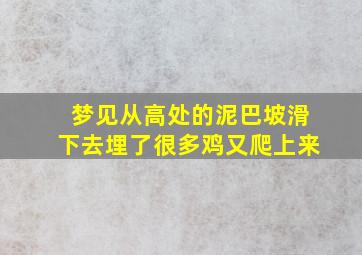 梦见从高处的泥巴坡滑下去埋了很多鸡又爬上来