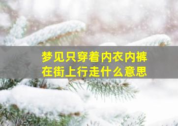 梦见只穿着内衣内裤在街上行走什么意思