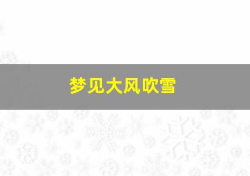 梦见大风吹雪