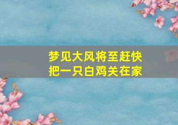 梦见大风将至赶快把一只白鸡关在家