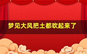 梦见大风把土都吹起来了