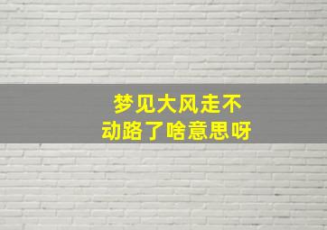 梦见大风走不动路了啥意思呀