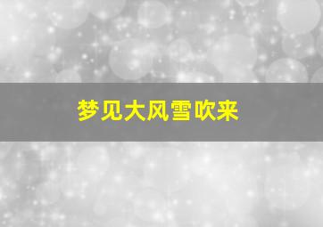 梦见大风雪吹来