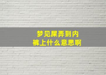 梦见屎弄到内裤上什么意思啊