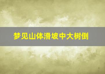 梦见山体滑坡中大树倒