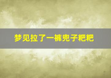 梦见拉了一裤兜子粑粑