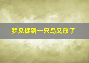 梦见捉到一只鸟又放了