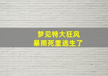 梦见特大狂风暴雨死里逃生了