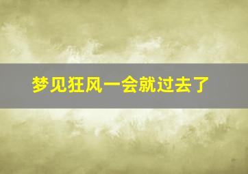 梦见狂风一会就过去了