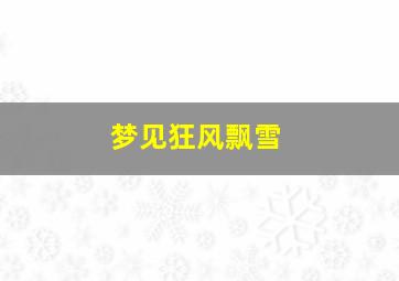 梦见狂风飘雪