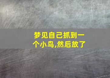 梦见自己抓到一个小鸟,然后放了