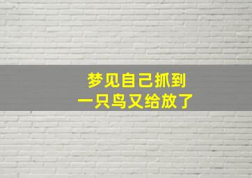 梦见自己抓到一只鸟又给放了