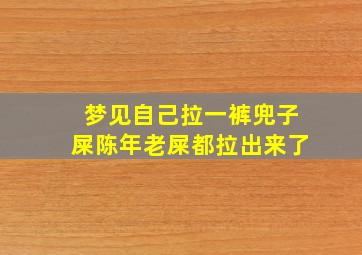 梦见自己拉一裤兜子屎陈年老屎都拉出来了