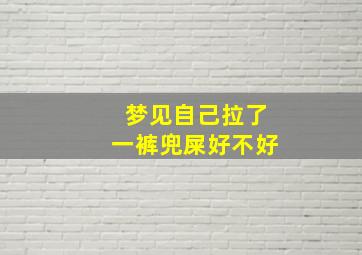 梦见自己拉了一裤兜屎好不好