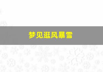 梦见逛风暴雪