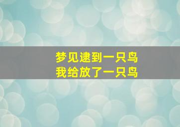 梦见逮到一只鸟我给放了一只鸟