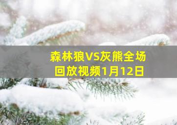 森林狼VS灰熊全场回放视频1月12日