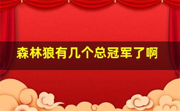 森林狼有几个总冠军了啊