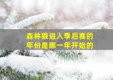 森林狼进入季后赛的年份是哪一年开始的