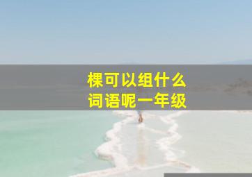 棵可以组什么词语呢一年级