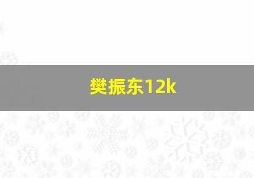 樊振东12k