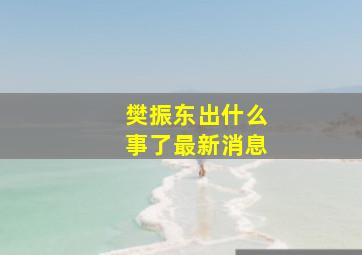 樊振东出什么事了最新消息