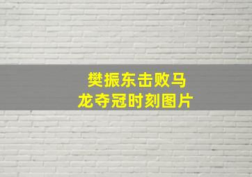 樊振东击败马龙夺冠时刻图片