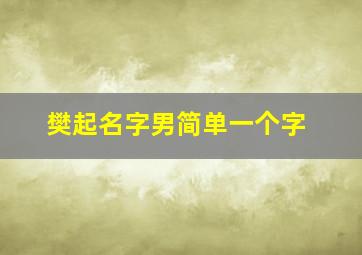 樊起名字男简单一个字