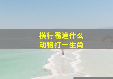 横行霸道什么动物打一生肖