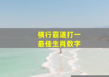 横行霸道打一最佳生肖数字