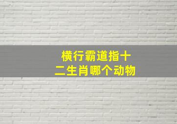 横行霸道指十二生肖哪个动物