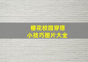 樱花校园穿搭小技巧图片大全