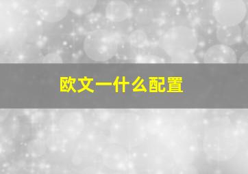 欧文一什么配置