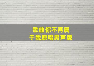 歌曲你不再属于我原唱男声版